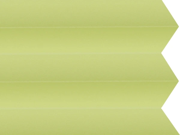 BO 11193 - Fresh lime