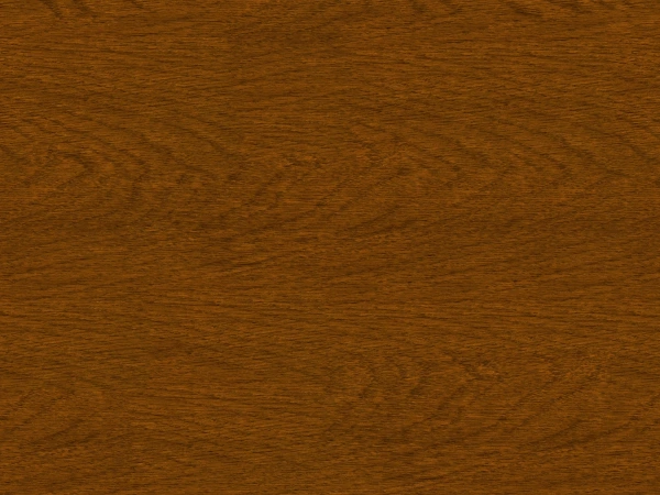 Siete proti hmyzu na DVERE - pántové - DUB ZLATÝ - drevoimitácia - s priečkou